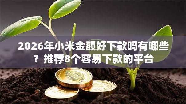 2026年小米金额好下款吗有哪些?推荐8个容易下款的平台 2026年小米金额好下款吗有哪些?推荐8个容易下款的平台