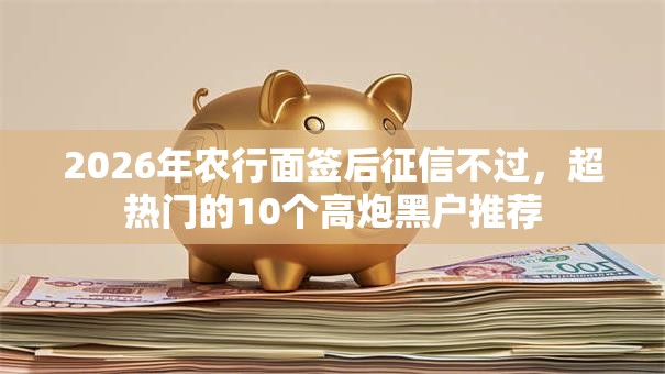 2026年农行面签后征信不过，超热门的10个高炮黑户推荐