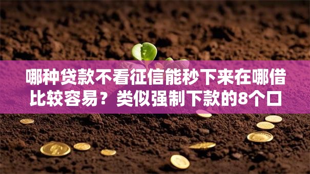 哪种贷款不看征信能秒下来在哪借比较容易?类似强制下款的8个口子参考 哪种贷款不看征信能秒下来在哪借比较容易?类似强制下款的8个口子参考