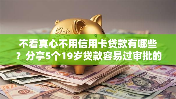 不看真心不用信用卡贷款有哪些?分享5个19岁贷款容易过审批的软件 不看真心不用信用卡贷款有哪些?分享5个19岁贷款容易过审批的软件