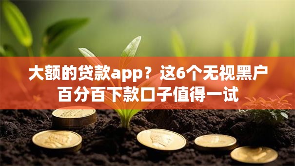 大额的贷款app？这6个无视黑户百分百下款口子值得一试