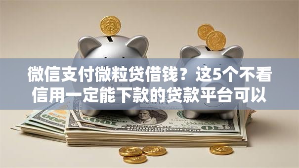 微信支付微粒贷借钱？这5个不看信用一定能下款的贷款平台可以试试