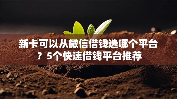新卡可以从微信借钱选哪个平台?5个快速借钱平台推荐 新卡可以从微信借钱选哪个平台?5个快速借钱平台推荐