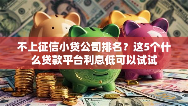 不上征信小贷公司排名？这5个什么贷款平台利息低可以试试