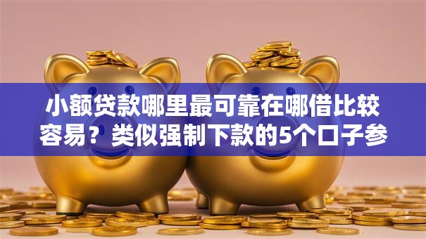 小额贷款哪里最可靠在哪借比较容易？类似强制下款的5个口子参考