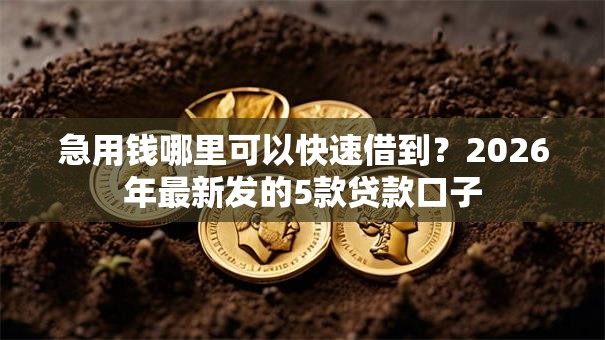 急用钱哪里可以快速借到?2026年最新发的5款贷款口子 急用钱哪里可以快速借到?2026年最新发的5款贷款口子