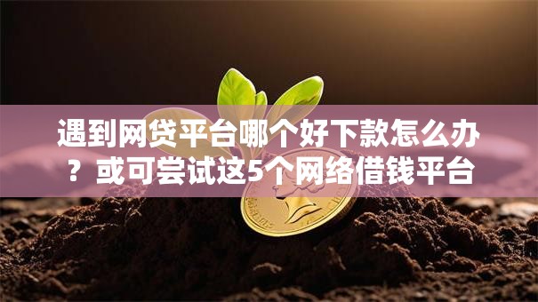 遇到网贷平台哪个好下款怎么办？或可尝试这5个网络借钱平台