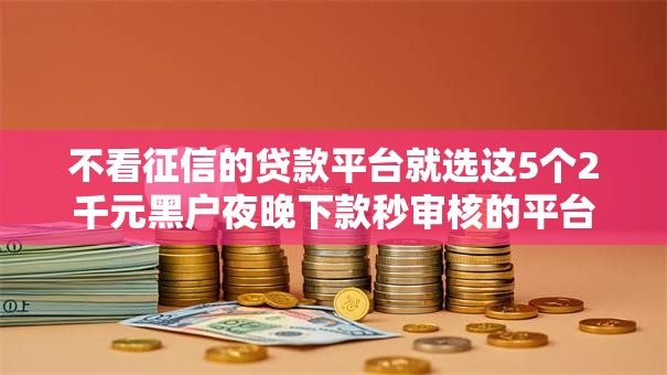 不看征信的贷款平台就选这5个2千元黑户夜晚下款秒审核的平台