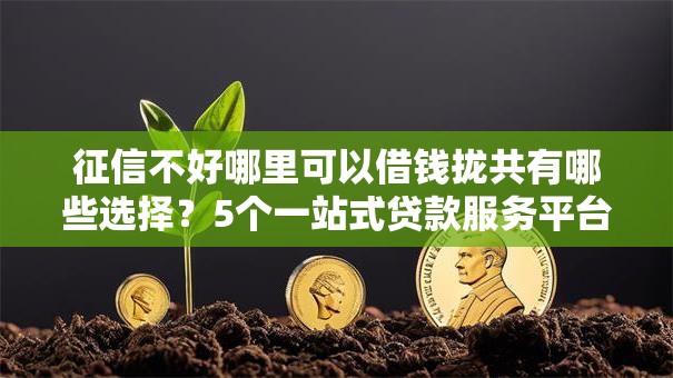 征信不好哪里可以借钱拢共有哪些选择?5个一站式贷款服务平台详解 征信不好哪里可以借钱拢共有哪些选择?5个一站式贷款服务平台详解