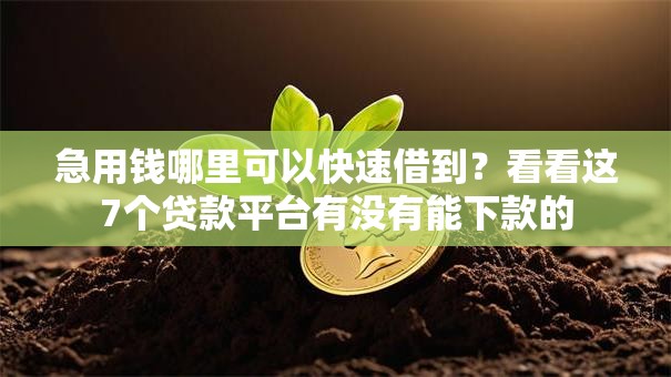 急用钱哪里可以快速借到?看看这7个贷款平台有没有能下款的 急用钱哪里可以快速借到?看看这7个贷款平台有没有能下款的