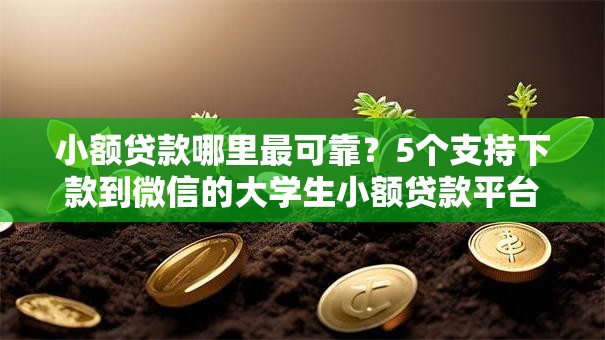 小额贷款哪里最可靠?5个支持下款到微信的大学生小额贷款平台 小额贷款哪里最可靠?5个支持下款到微信的大学生小额贷款平台