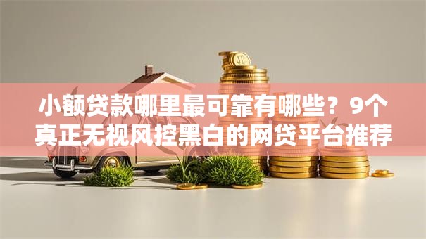 小额贷款哪里最可靠有哪些？9个真正无视风控黑白的网贷平台推荐给你