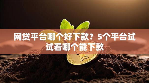 网贷平台哪个好下款？5个平台试试看哪个能下款