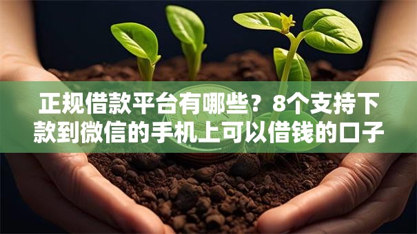 正规借款平台有哪些？8个支持下款到微信的手机上可以借钱的口子