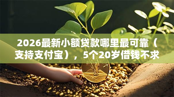 2026最新小额贷款哪里最可靠（支持支付宝），5个20岁借钱不求征信速借平台无私分享