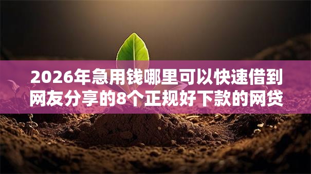 2026年急用钱哪里可以快速借到网友分享的8个正规好下款的网贷平台我觉得不错！