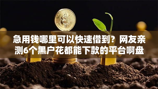 急用钱哪里可以快速借到？网友亲测6个黑户花都能下款的平台啊盘点