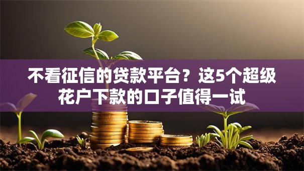 不看征信的贷款平台？这5个超级花户下款的口子值得一试