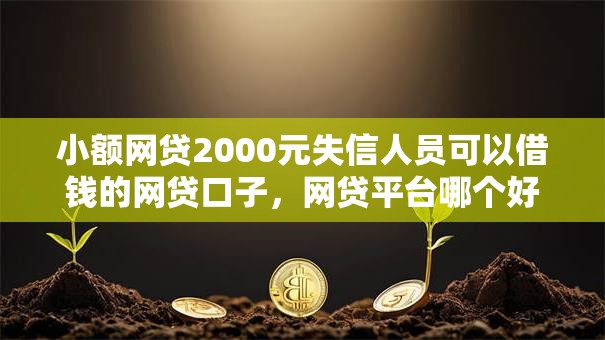 小额网贷2000元失信人员可以借钱的网贷口子，网贷平台哪个好下款的7个平台介绍