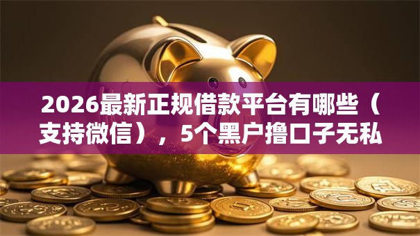 2026最新正规借款平台有哪些（支持微信），5个黑户撸口子无私分享
