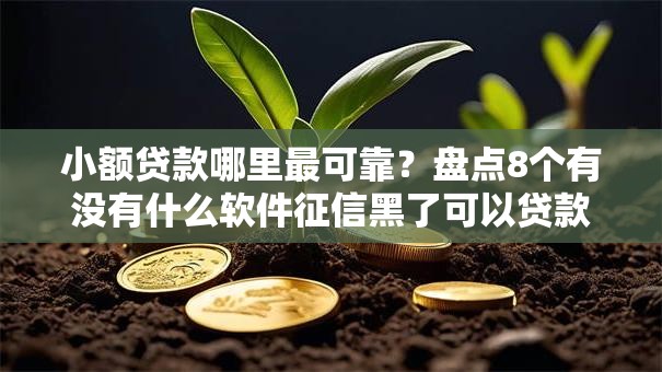 小额贷款哪里最可靠？盘点8个有没有什么软件征信黑了可以贷款给你参考