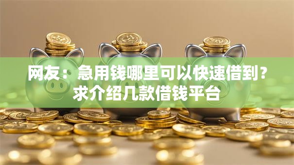 网友：急用钱哪里可以快速借到？求介绍几款借钱平台