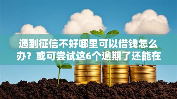 遇到征信不好哪里可以借钱怎么办？或可尝试这6个逾期了还能在平台贷款