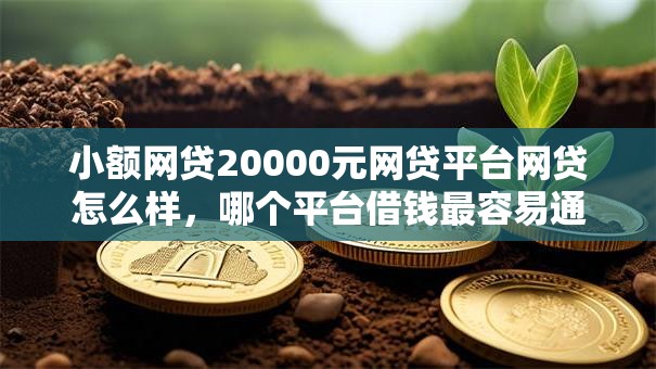 小额网贷20000元网贷平台网贷怎么样，哪个平台借钱最容易通过的7个平台介绍