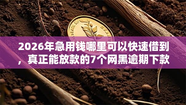 2026年急用钱哪里可以快速借到,真正能放款的7个网黑逾期下款口子推荐 2026年急用钱哪里可以快速借到,真正能放款的7个网黑逾期下款口子推荐