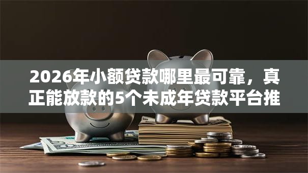 2026年小额贷款哪里最可靠，真正能放款的5个未成年贷款平台推荐