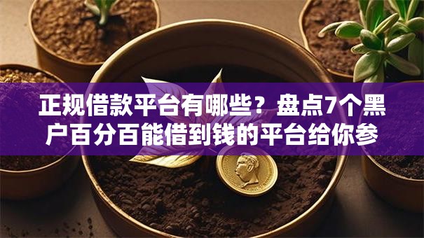 正规借款平台有哪些？盘点7个黑户百分百能借到钱的平台给你参考