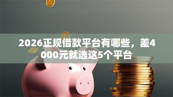 2026正规借款平台有哪些，差4000元就选这5个平台