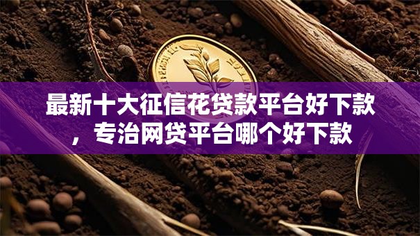 最新十大征信花贷款平台好下款，专治网贷平台哪个好下款