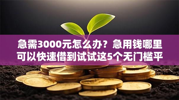 急需3000元怎么办？急用钱哪里可以快速借到试试这5个无门槛平台