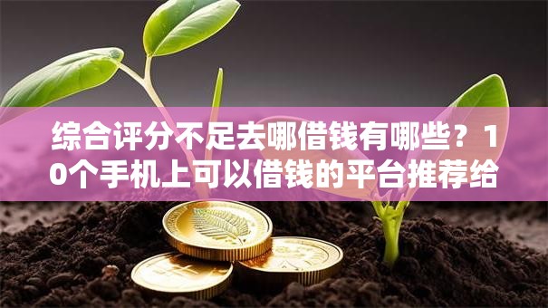 综合评分不足去哪借钱有哪些？10个手机上可以借钱的平台推荐给你