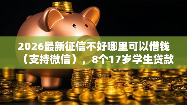 2026最新征信不好哪里可以借钱（支持微信），8个17岁学生贷款平台无私分享