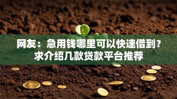 网友：急用钱哪里可以快速借到？求介绍几款贷款平台推荐