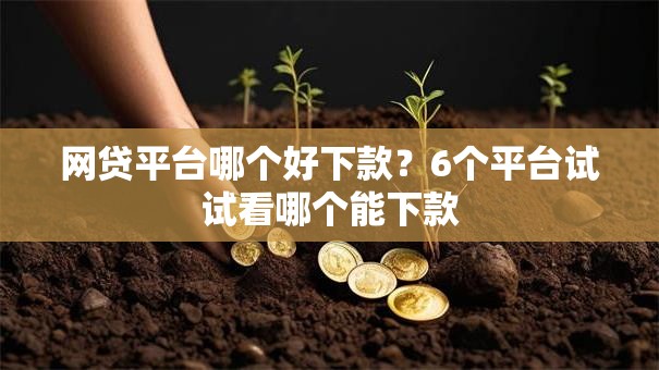 网贷平台哪个好下款？6个平台试试看哪个能下款