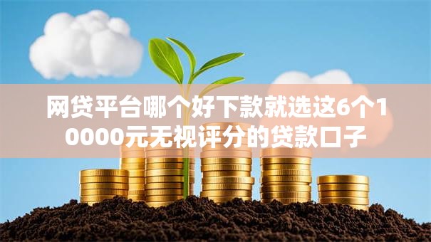 网贷平台哪个好下款就选这6个10000元无视评分的贷款口子