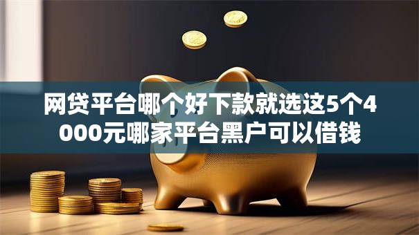 网贷平台哪个好下款就选这5个4000元哪家平台黑户可以借钱