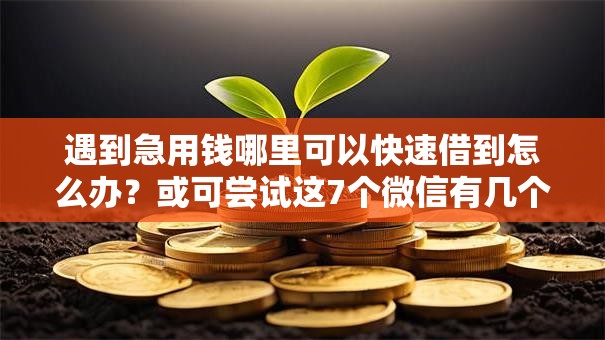 遇到急用钱哪里可以快速借到怎么办？或可尝试这7个微信有几个借钱平台