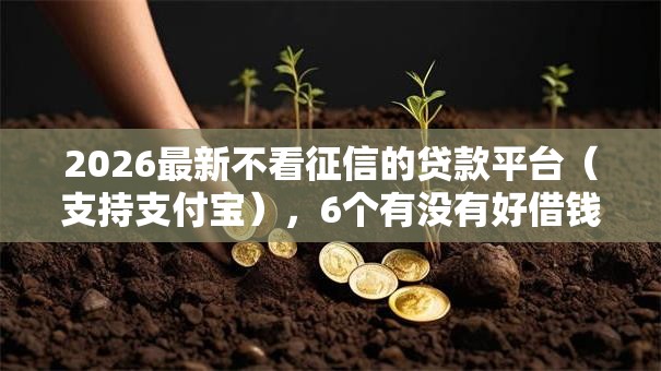 2026最新不看征信的贷款平台（支持支付宝），6个有没有好借钱的平台无私分享