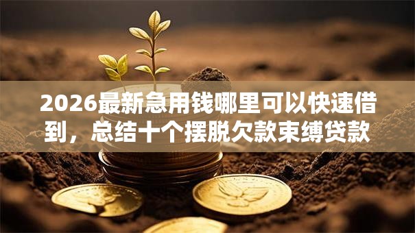 2026最新急用钱哪里可以快速借到，总结十个摆脱欠款束缚贷款新口子！