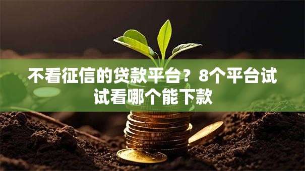 不看征信的贷款平台？8个平台试试看哪个能下款