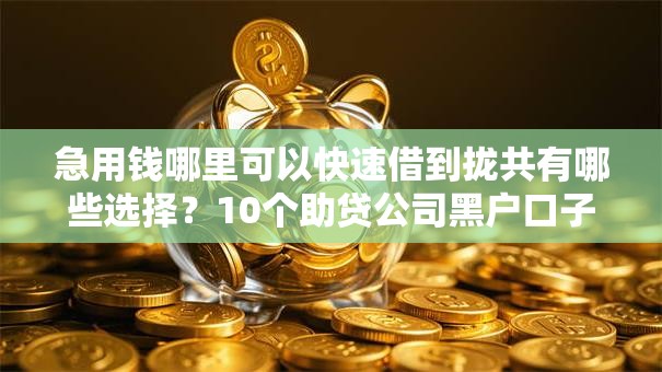 急用钱哪里可以快速借到拢共有哪些选择？10个助贷公司黑户口子有什么详解