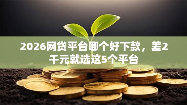 2026网贷平台哪个好下款，差2千元就选这5个平台