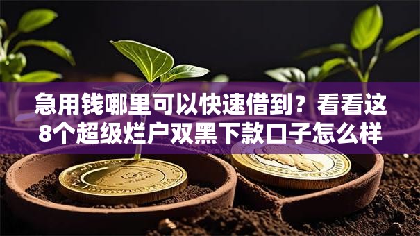 急用钱哪里可以快速借到？看看这8个超级烂户双黑下款口子怎么样