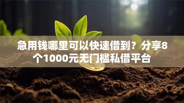 急用钱哪里可以快速借到？分享8个1000元无门槛私借平台