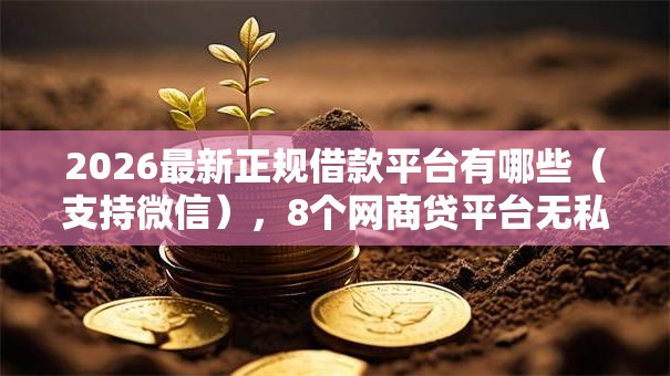 2026最新正规借款平台有哪些（支持微信），8个网商贷平台无私分享
