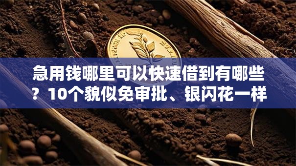 急用钱哪里可以快速借到有哪些？10个貌似免审批、银闪花一样的短期平台合集